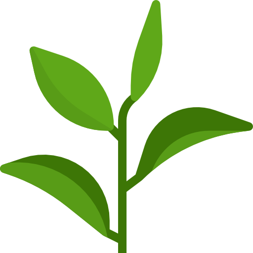 Green plant sprout symbolizing growth and enrichment at Trellis Academy